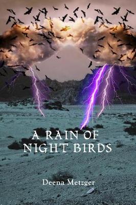 Book cover for A Rain of Night Birds