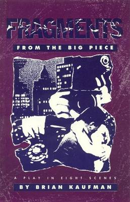 Cover of Fragments from the Big Piece