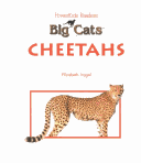 Book cover for Big Cats: Cheetahs