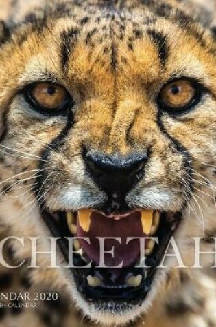 Cover of Cheetah Calendar 2020