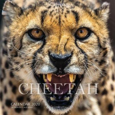 Book cover for Cheetah Calendar 2020