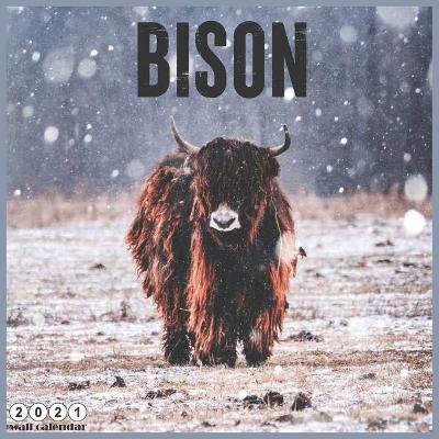 Book cover for Bison 2021 Wall Calendar