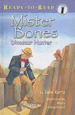 Book cover for Mister Bones