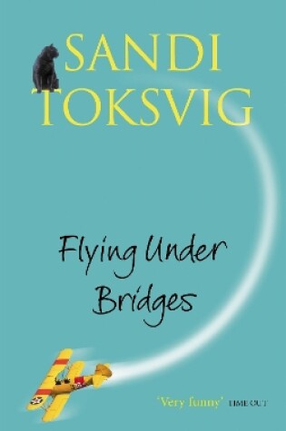 Cover of Flying Under Bridges