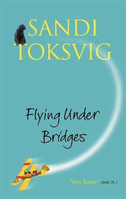 Book cover for Flying Under Bridges