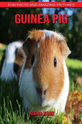 Cover of Guinea Pig