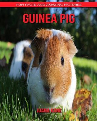 Book cover for Guinea Pig