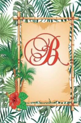 Cover of B