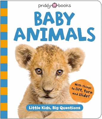 Book cover for Baby Animals (Little Kids, Big Questions)