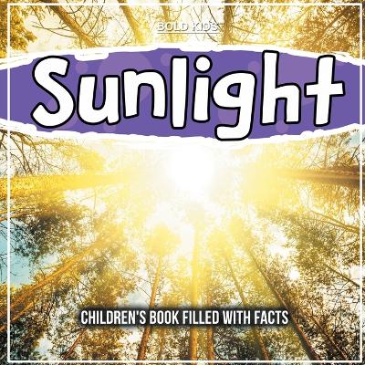 Book cover for Sunlight