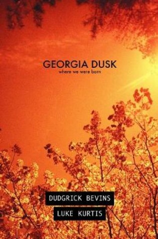 Cover of Georgia Dusk