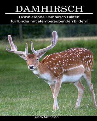 Cover of Damhirsch