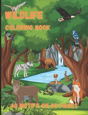 Book cover for Wildlife Coloring Book