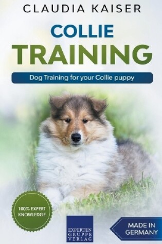 Cover of Collie Training - Dog Training for your Collie puppy