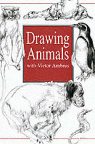 Cover of Drawing Animals