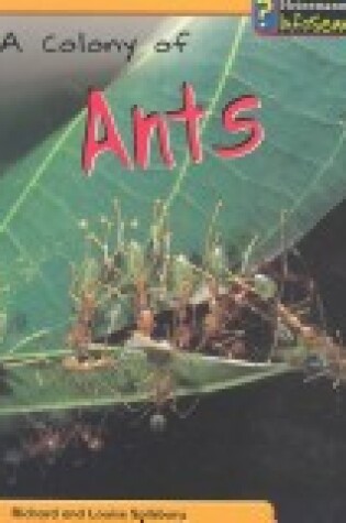 Cover of A Colony of Ants