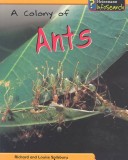 Book cover for A Colony of Ants