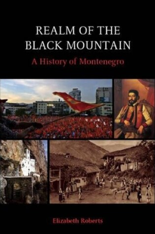 Cover of Realm of the Black Mountain