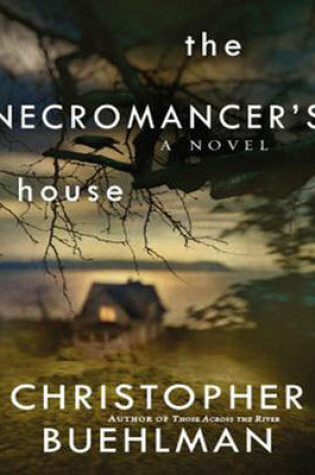 Cover of The Necromancer's House