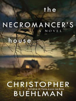 Book cover for The Necromancer's House