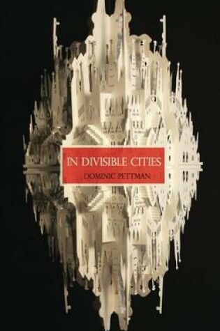Cover of In Divisible Cities