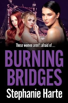 Book cover for Burning Bridges