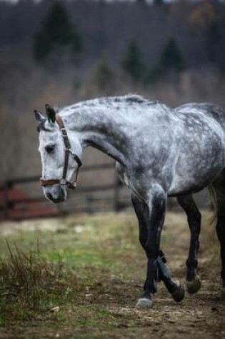 Cover of Lovely Gray Horse Journal