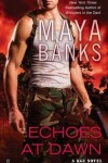 Book cover for Echoes at Dawn