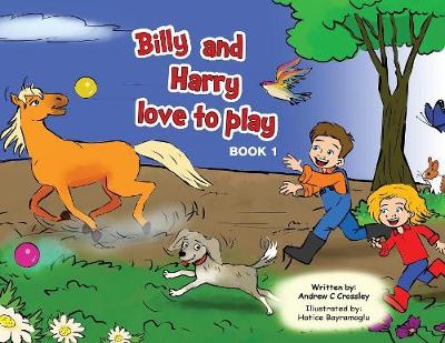 Book cover for Billy and Harry love to play