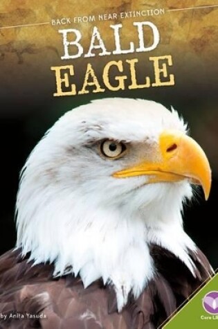 Cover of Bald Eagle