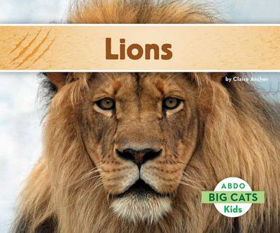 Cover of Lions