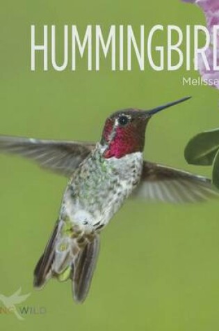 Cover of Hummingbirds