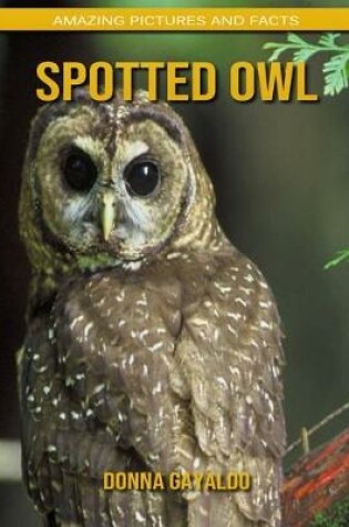 Cover of Spotted Owl