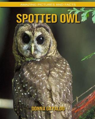 Book cover for Spotted Owl