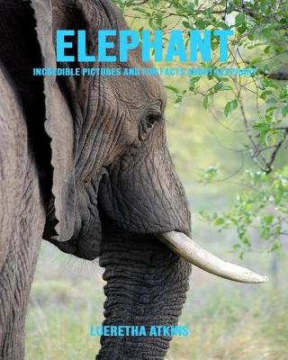 Book cover for Elephant