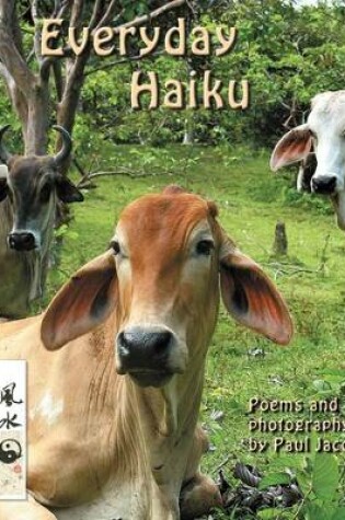 Cover of Everyday Haiku