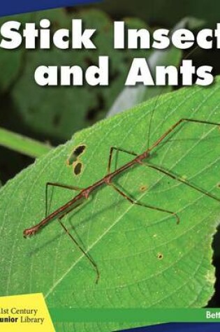 Cover of Stick Insects and Ants