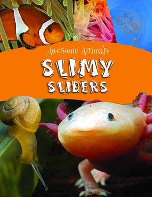 Cover of Slimey Sliders