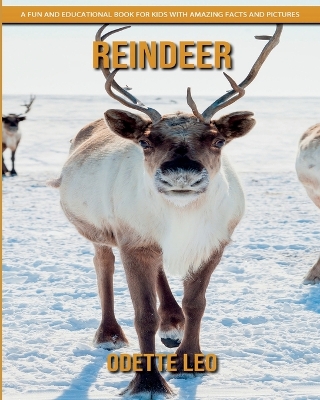 Book cover for Reindeer