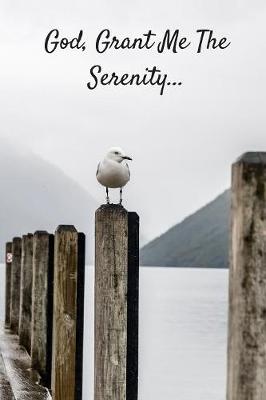 Book cover for God Grant Me The Serenity