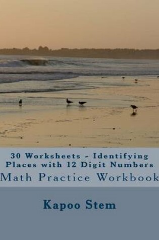 Cover of 30 Worksheets - Identifying Places with 12 Digit Numbers