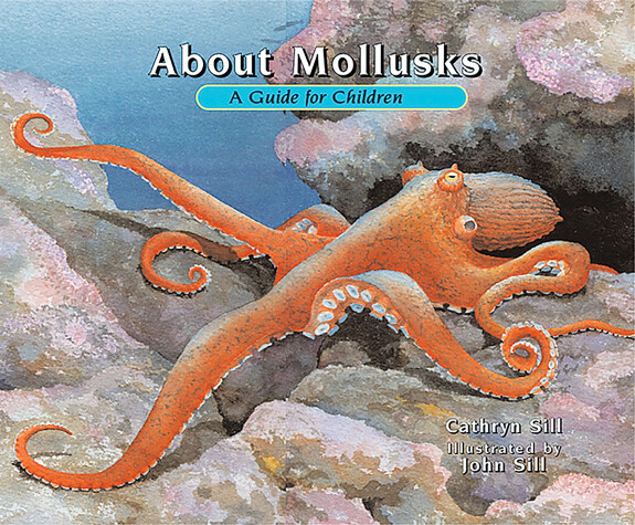 Cover of About Mollusks