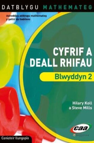 Cover of Datblygu Mathemateg: Cyfrif a Deall Rhifau Blwyddyn 2