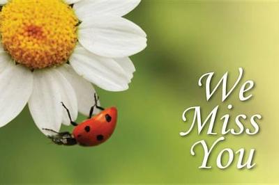 Cover of We Miss You Ladybug Postcard (Pkg of 25)