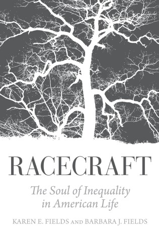 Book cover for Racecraft