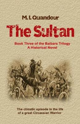 Book cover for The Sultan