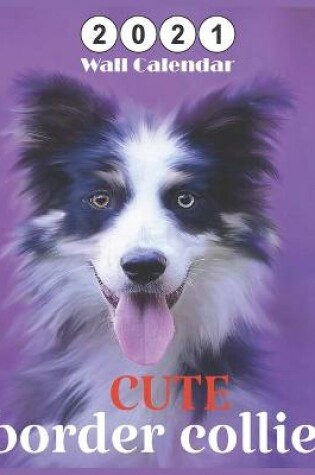 Cover of border collie CUTE