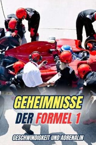 Cover of Geheimnisse der Formel 1