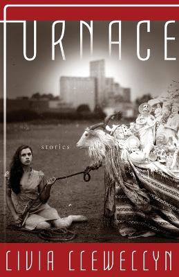 Book cover for Furnace