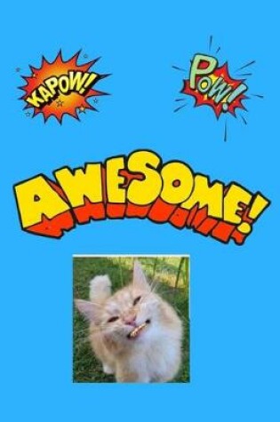 Cover of Kapow POW Awesome